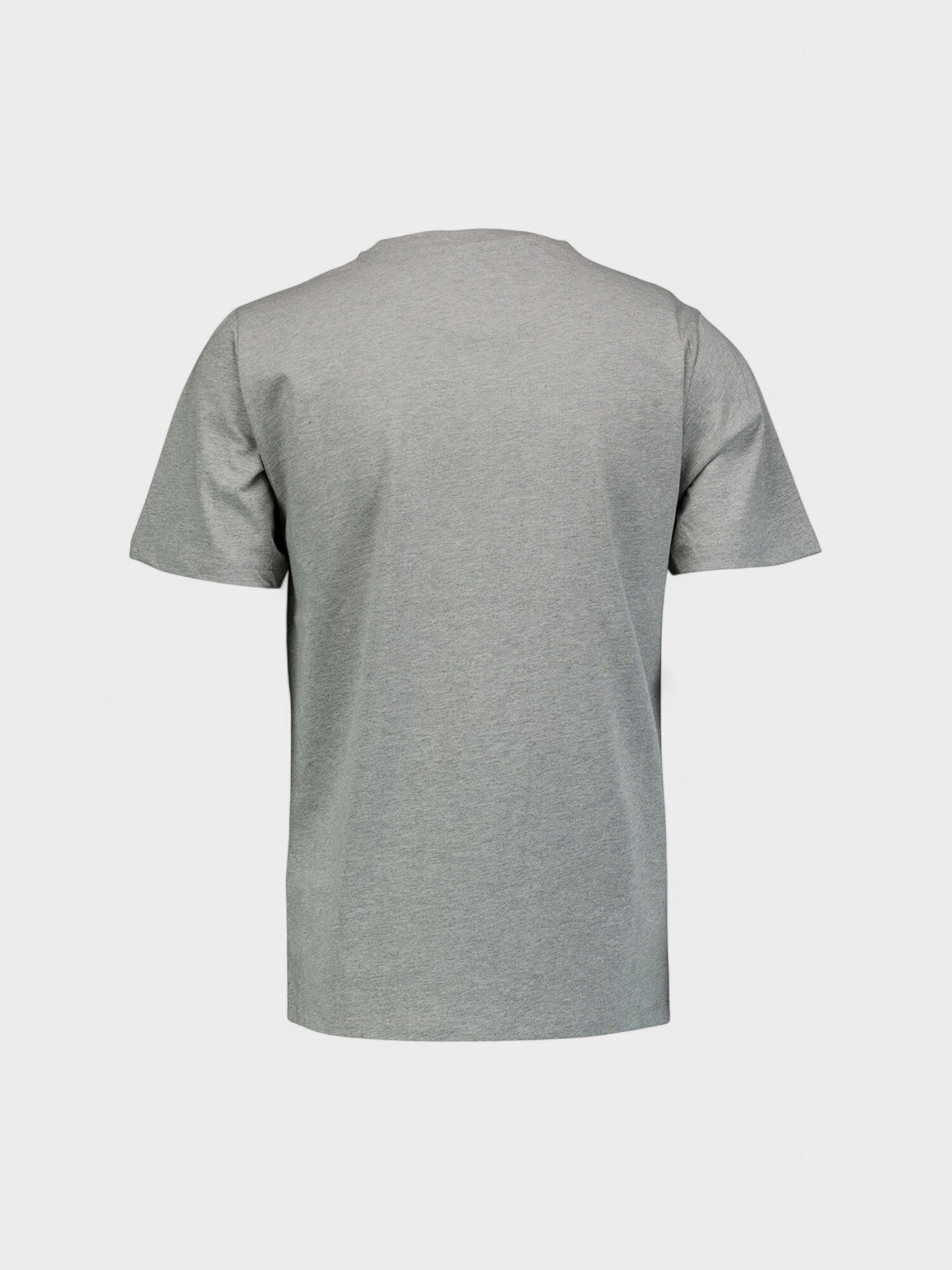 Kenzo Tiger Graphic T Shirt Grey Blue