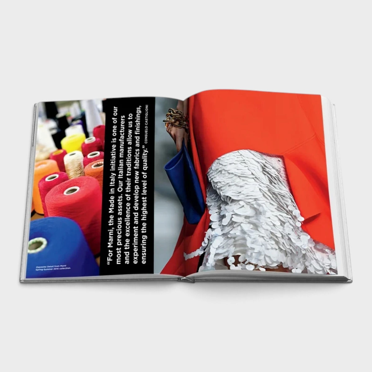 Radical Renaissance Book