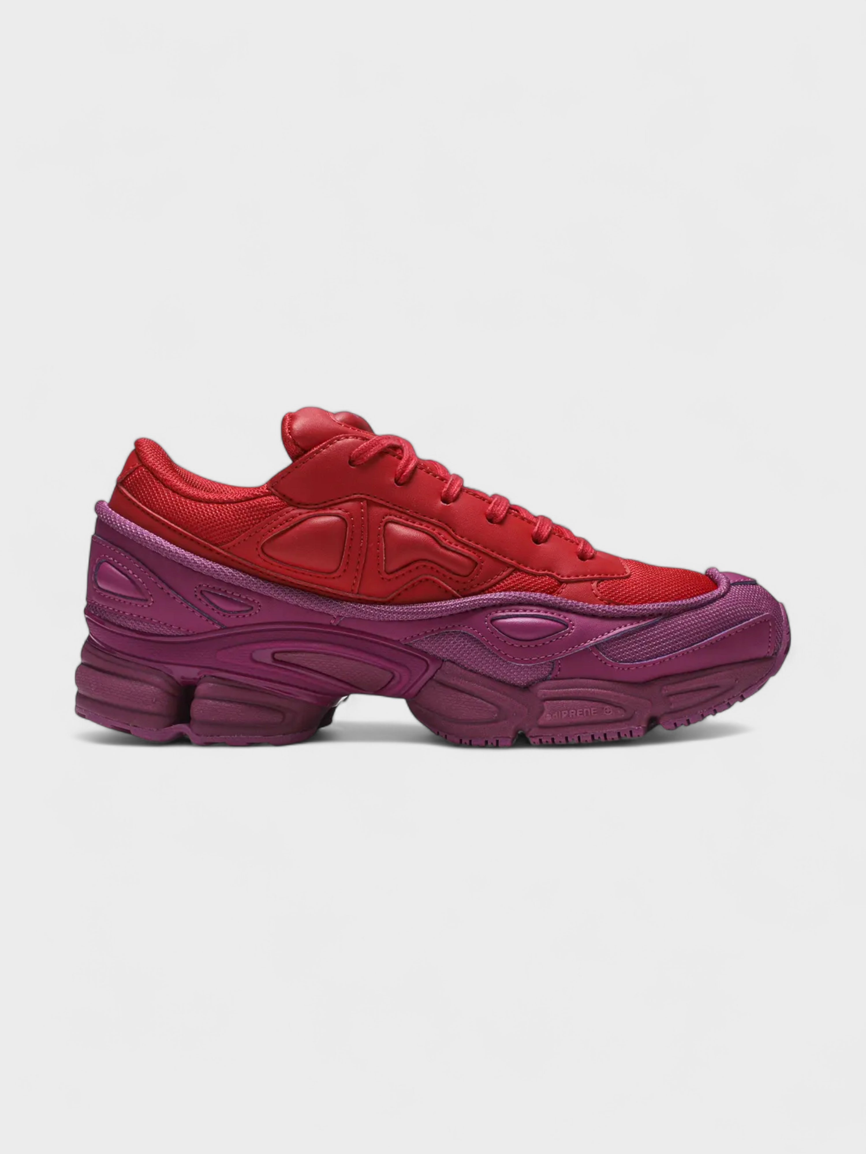 Adidas Ozweego Raf Simons Glory Collegiate Red