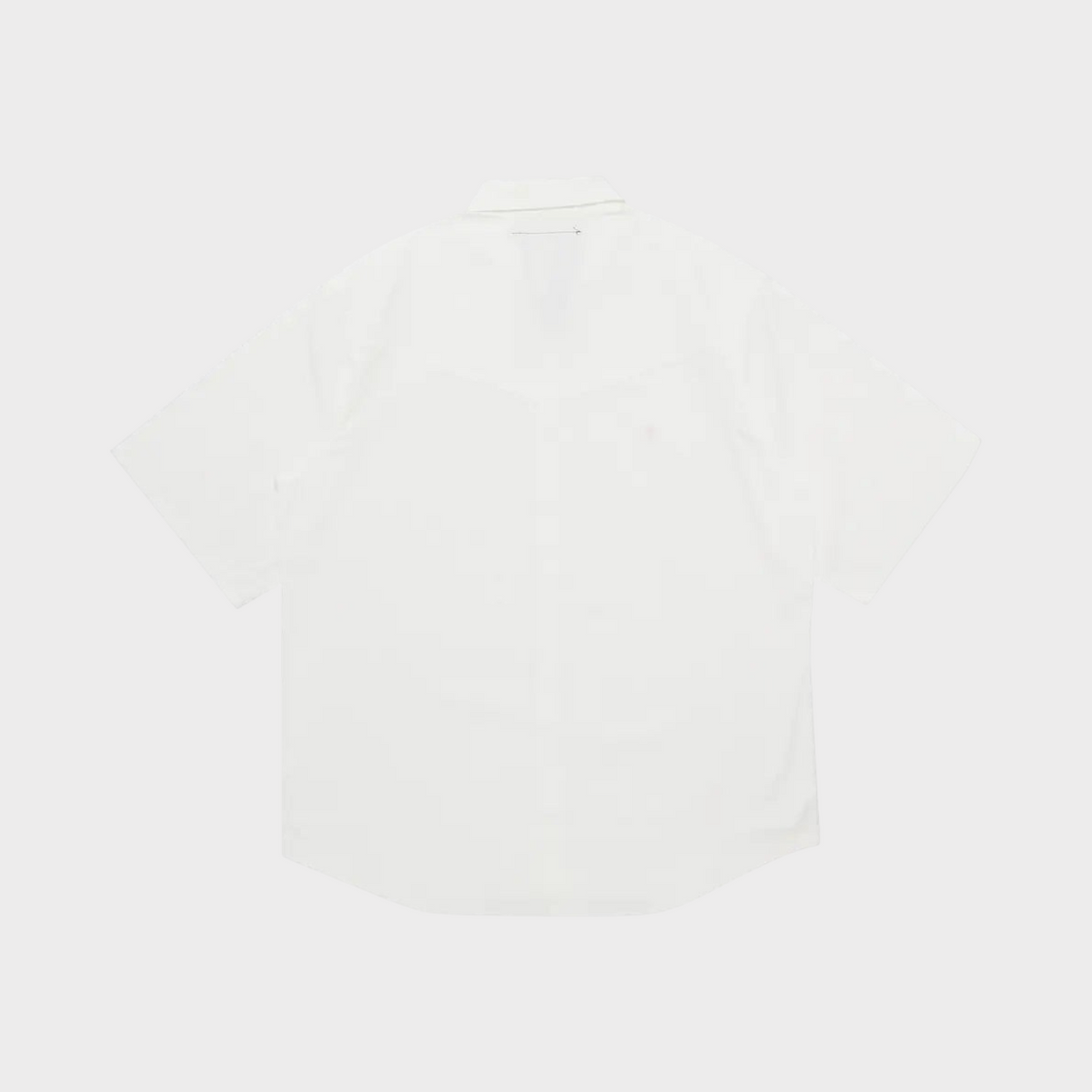 Supplied Fashion crisp white short-sleeve button-up shirt with a classic collar and clean back view
