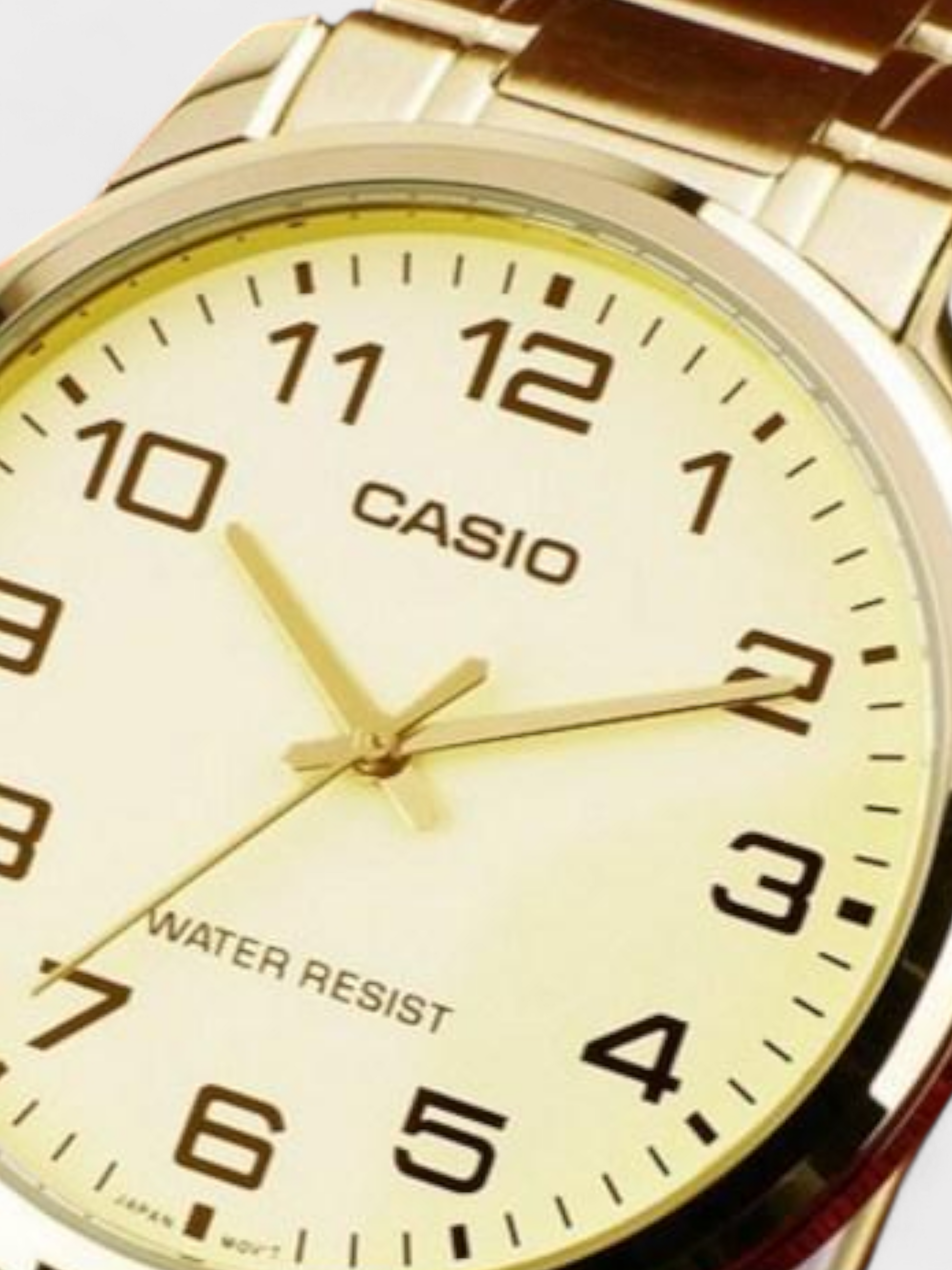 Casio Classic Standard Analog Watch