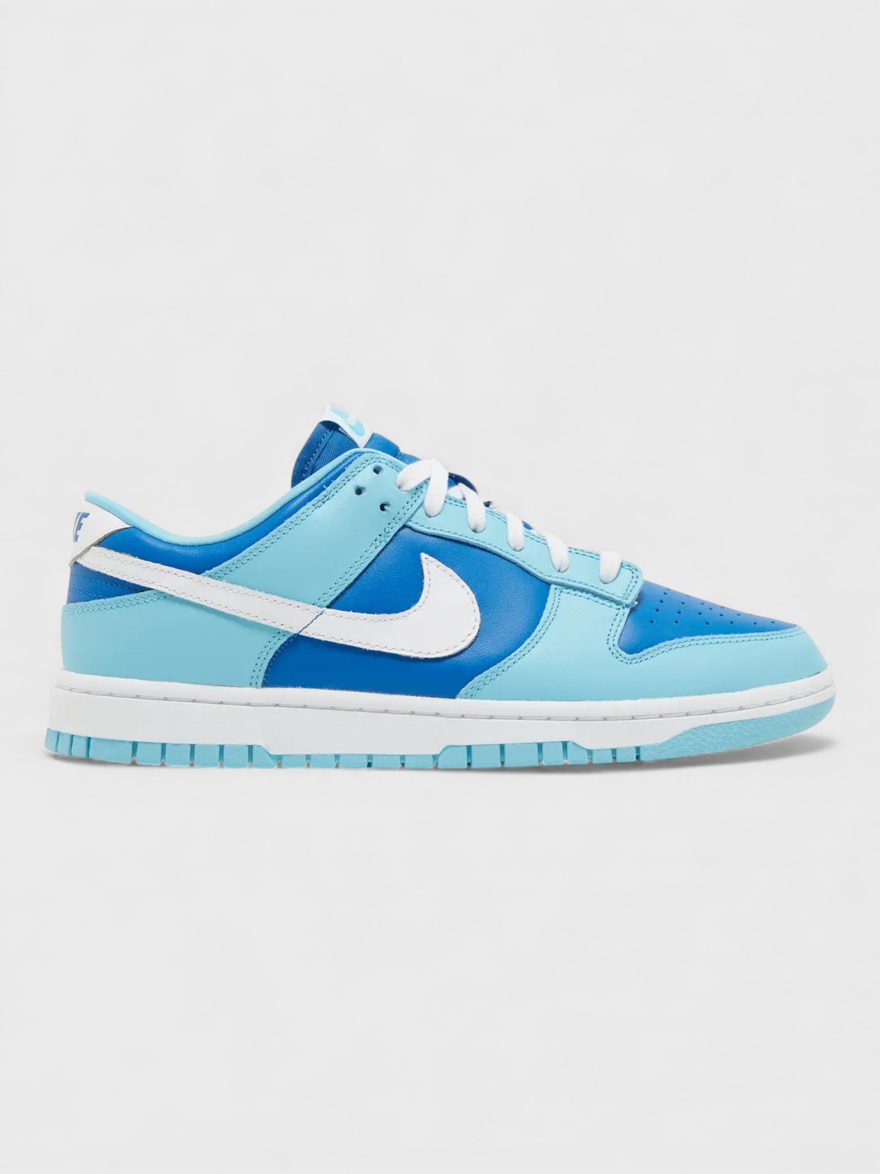 Nike Dunk Low Retro QS Argon 2022