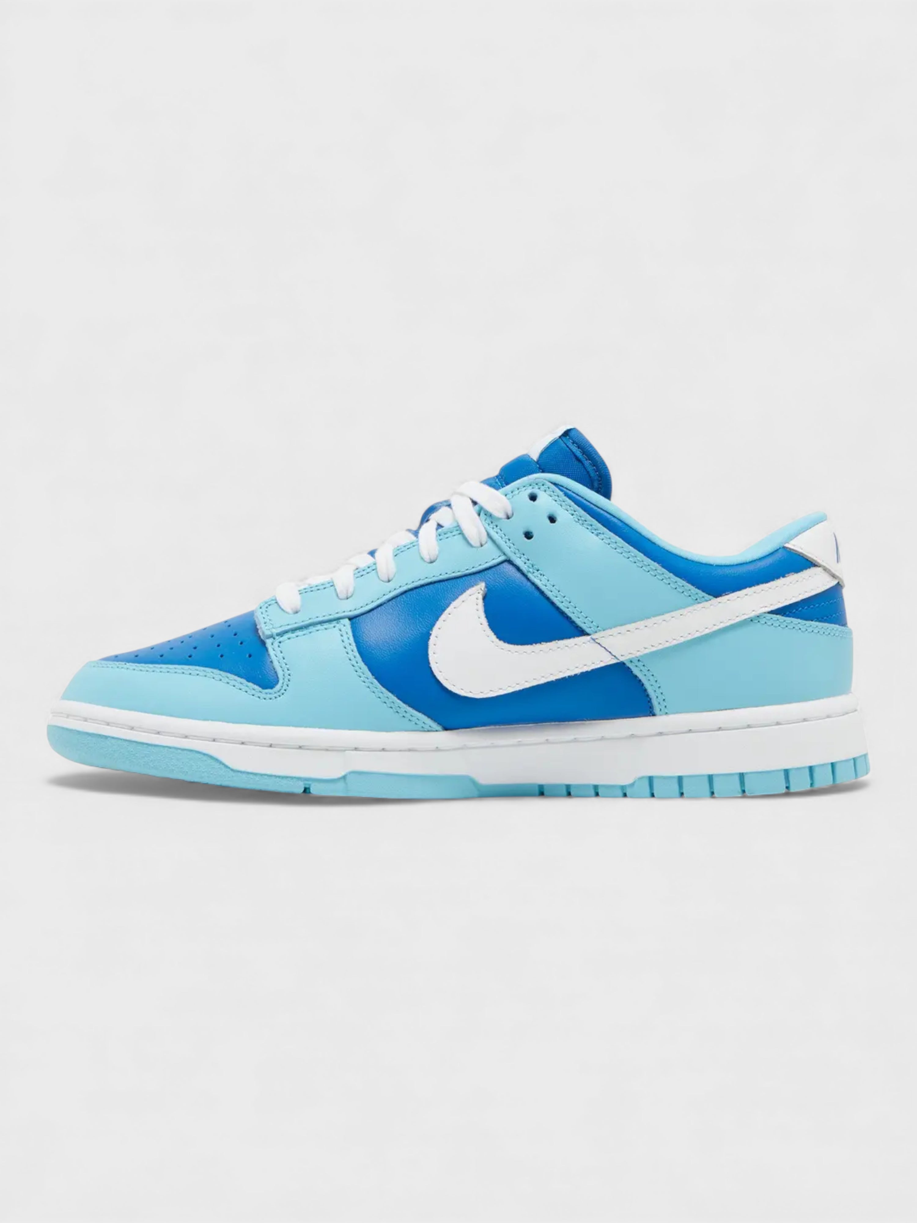Nike Dunk Low Retro QS Argon 2022