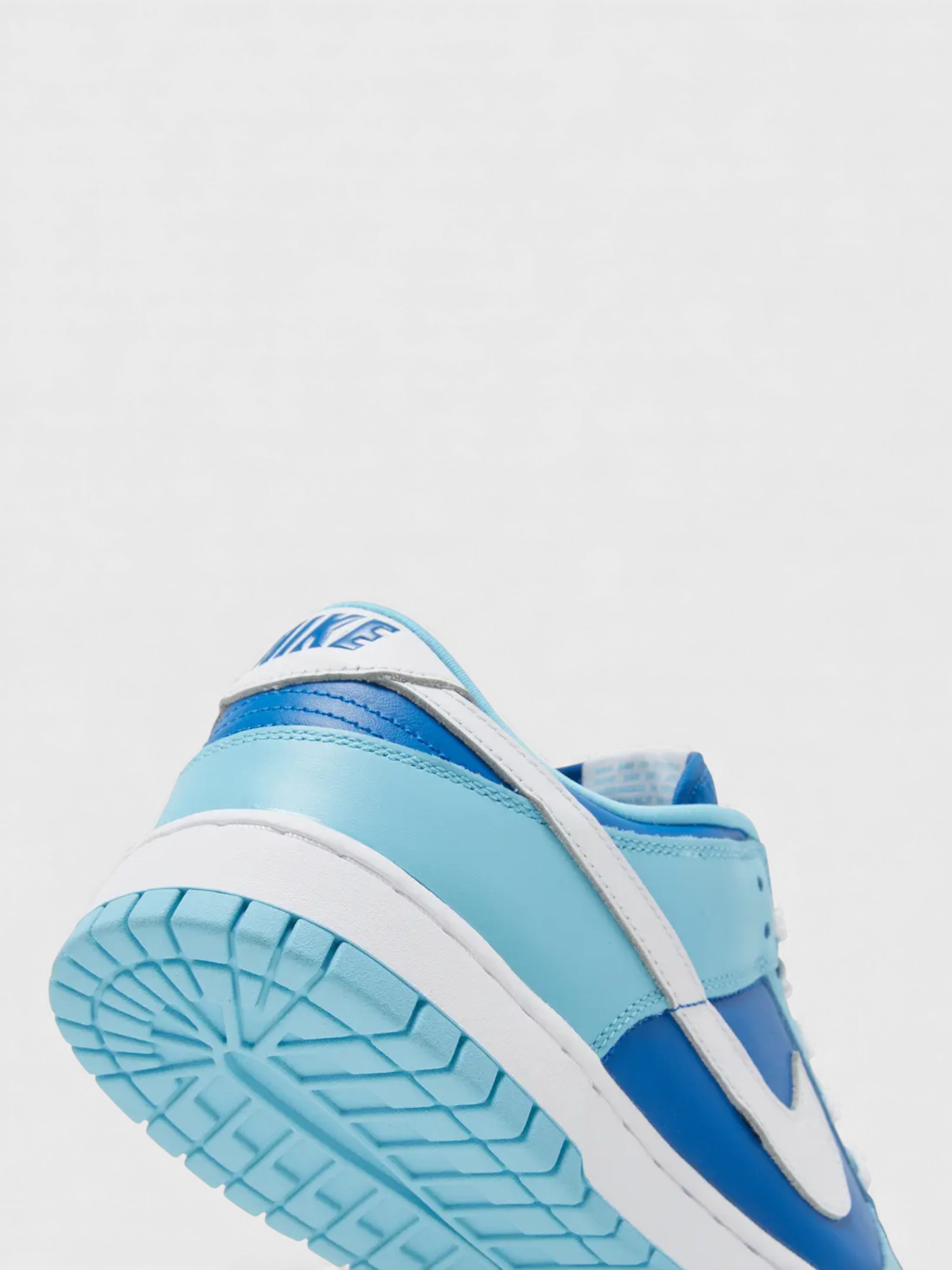 Nike Dunk Low Retro QS Argon 2022