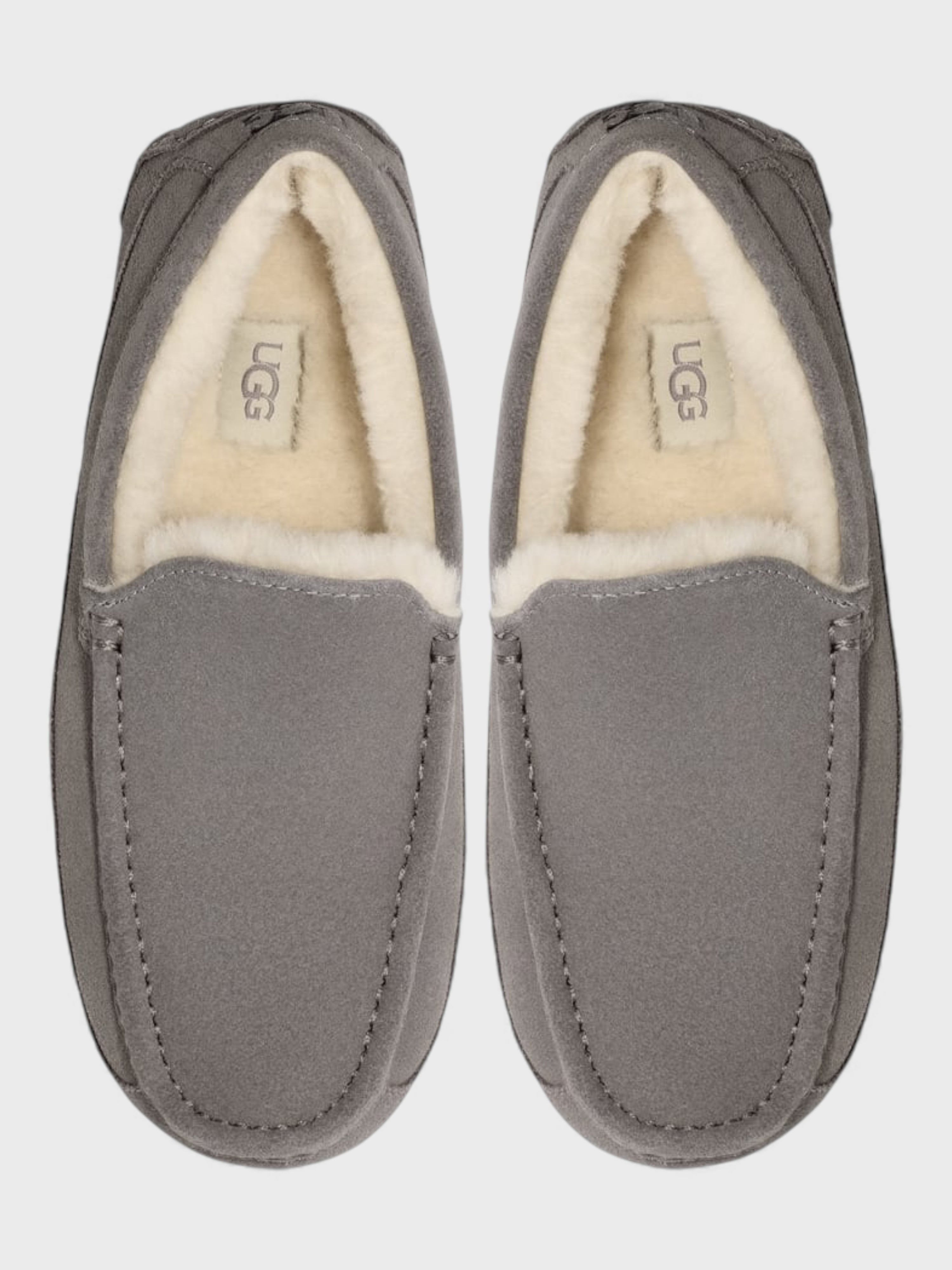 UGG Ascot Slippers Grey
