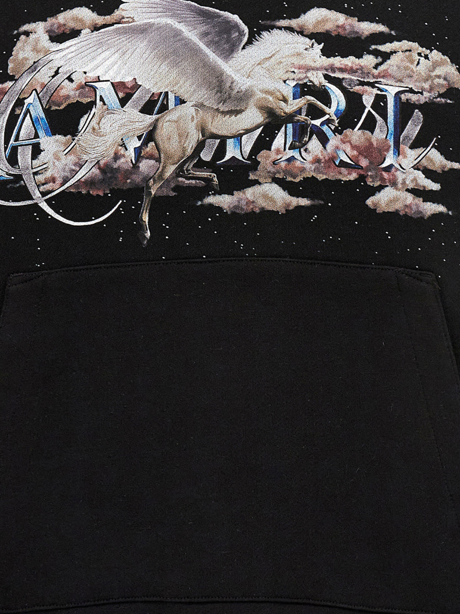 Amiri Pegasus Script Hoodie Black