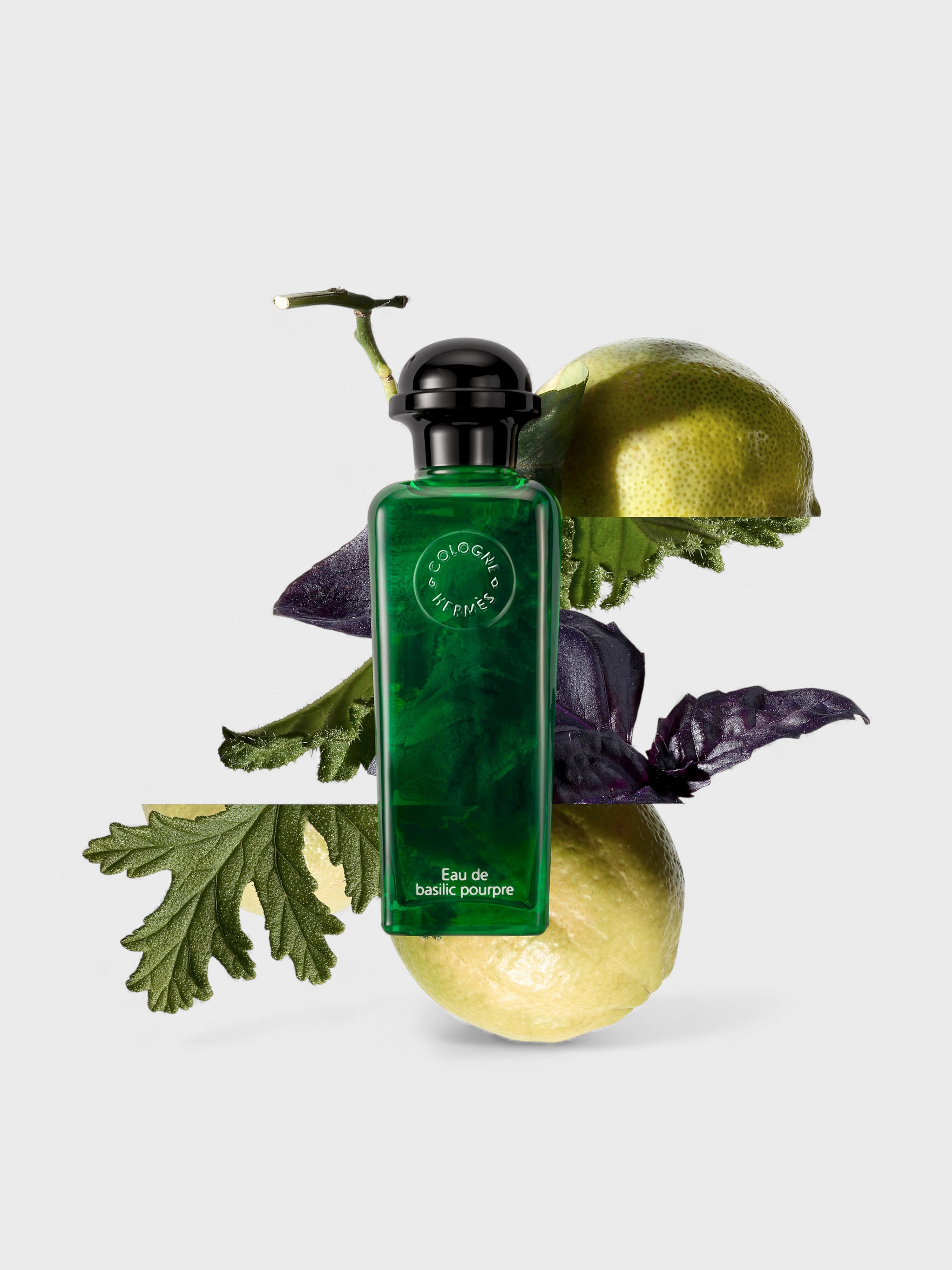 Hermes Eau de Basilic Pourpre Eau De Cologne 50ml