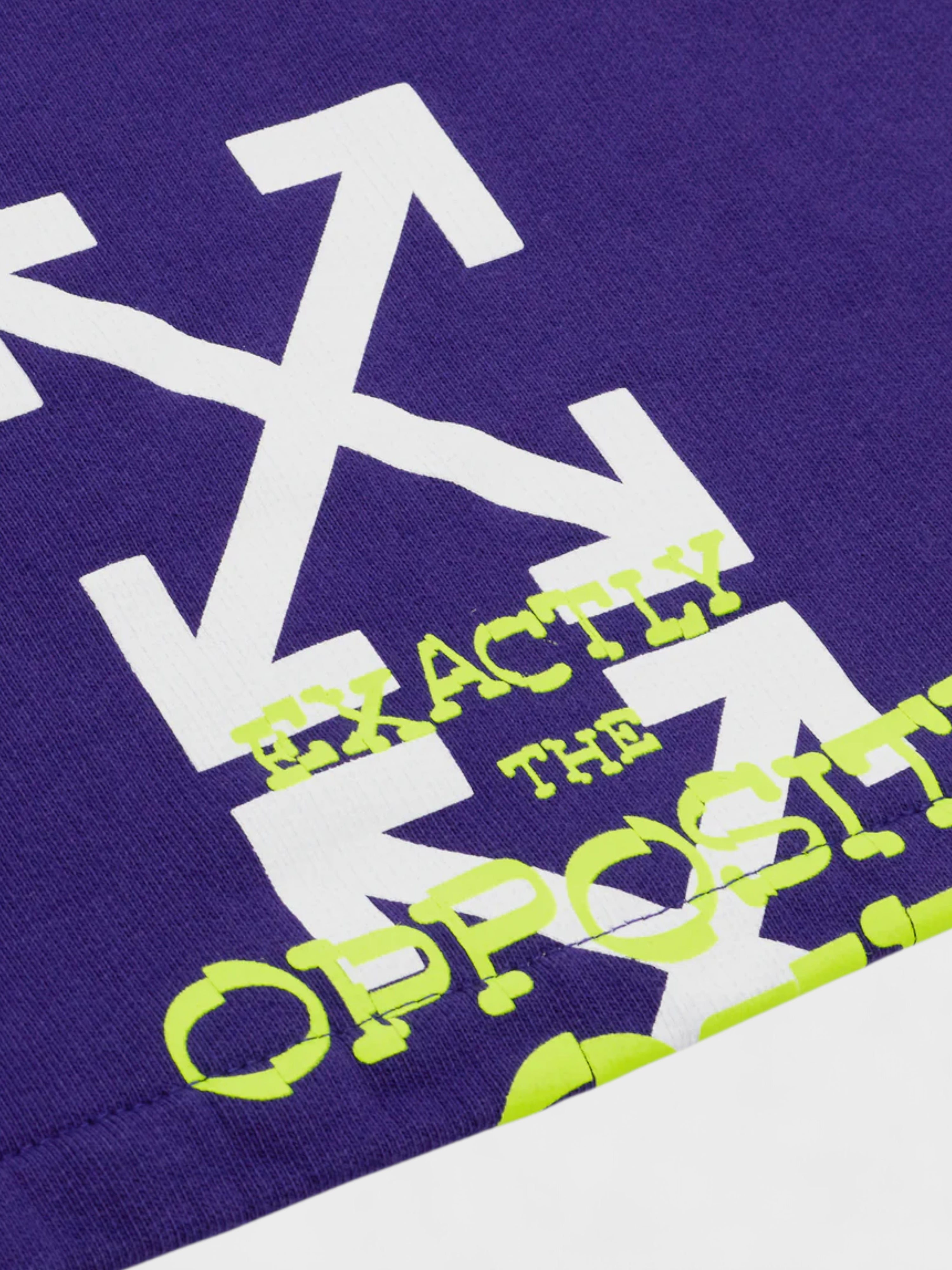 Opposite Arrow Skate Sweatshorts Purple