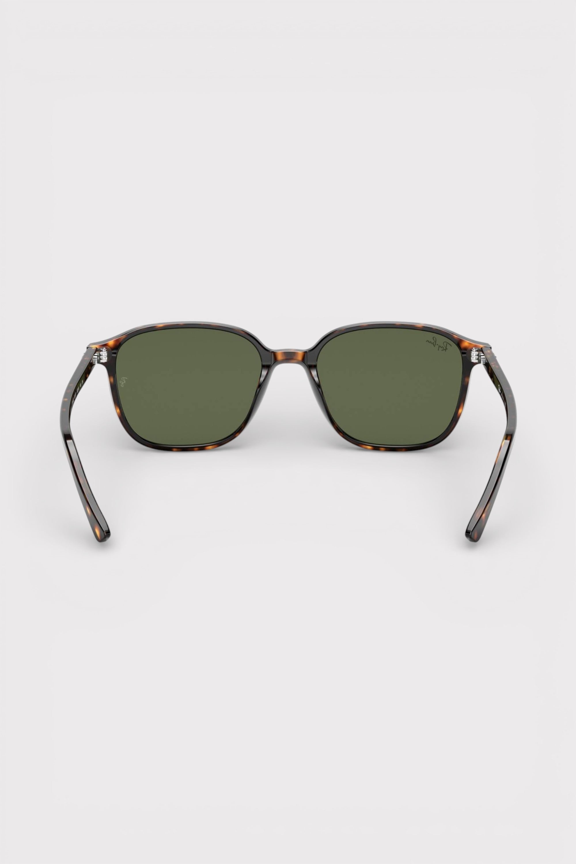 Ray-Ban Leonard Sunglasses Polished Tortoise