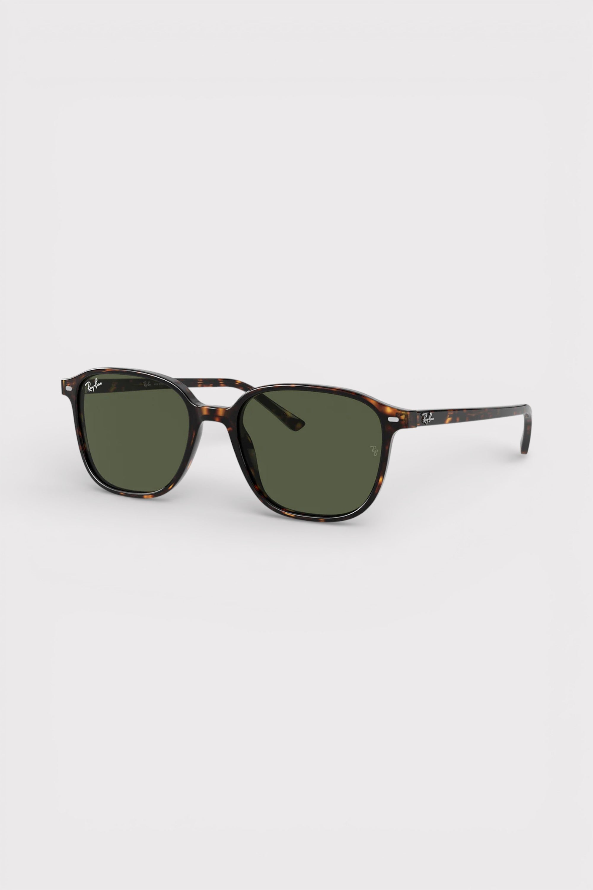 Ray-Ban Leonard Sunglasses Polished Tortoise