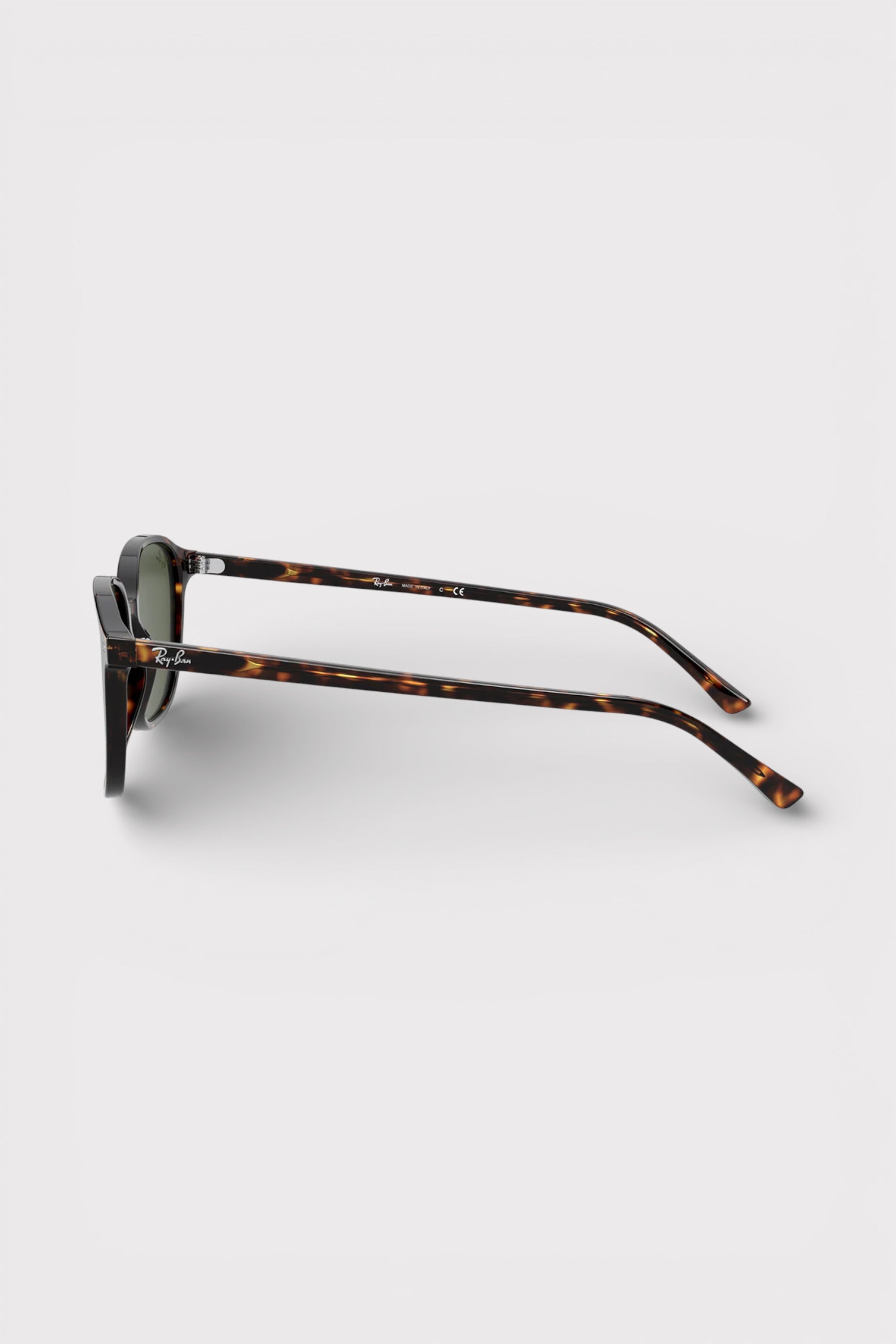 Ray-Ban Leonard Sunglasses Polished Tortoise